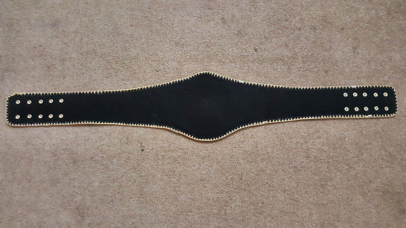New South West Heavyweight Wrestling Championship Title Belt - 5 | Dash Racegear