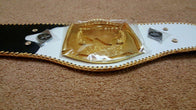 New South West Heavyweight Wrestling Championship Title Belt - 2 | Dash Racegear