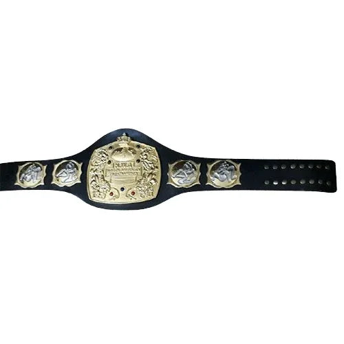 Old NWA North American Tag Team Championship Belt - 2 | Dash Racegear