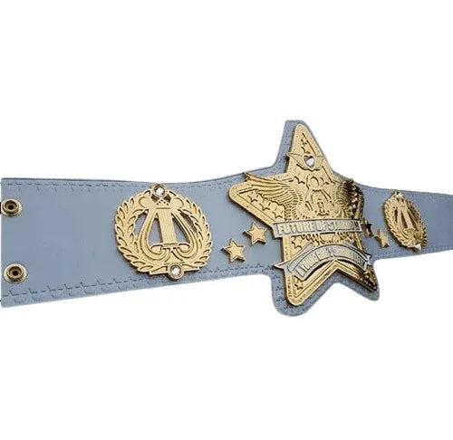 Future of Stardom Japanese Wrestling Champion Belt - 1 | Dash Racegear