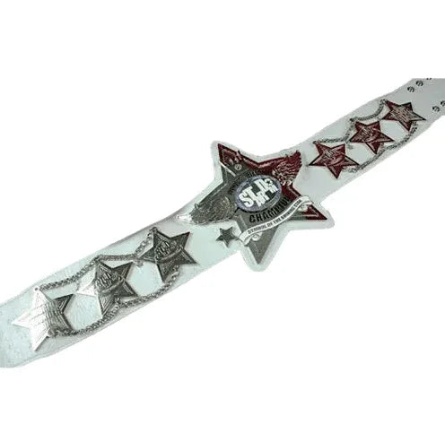 Wonder of Stardom Symbol of the Shining Star Champion Belt - 2 | Dash Racegear