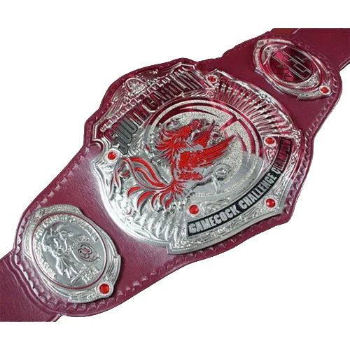 South Carolina Gamecocks Basketball Challenge Belt - 2 | Dash Racegear