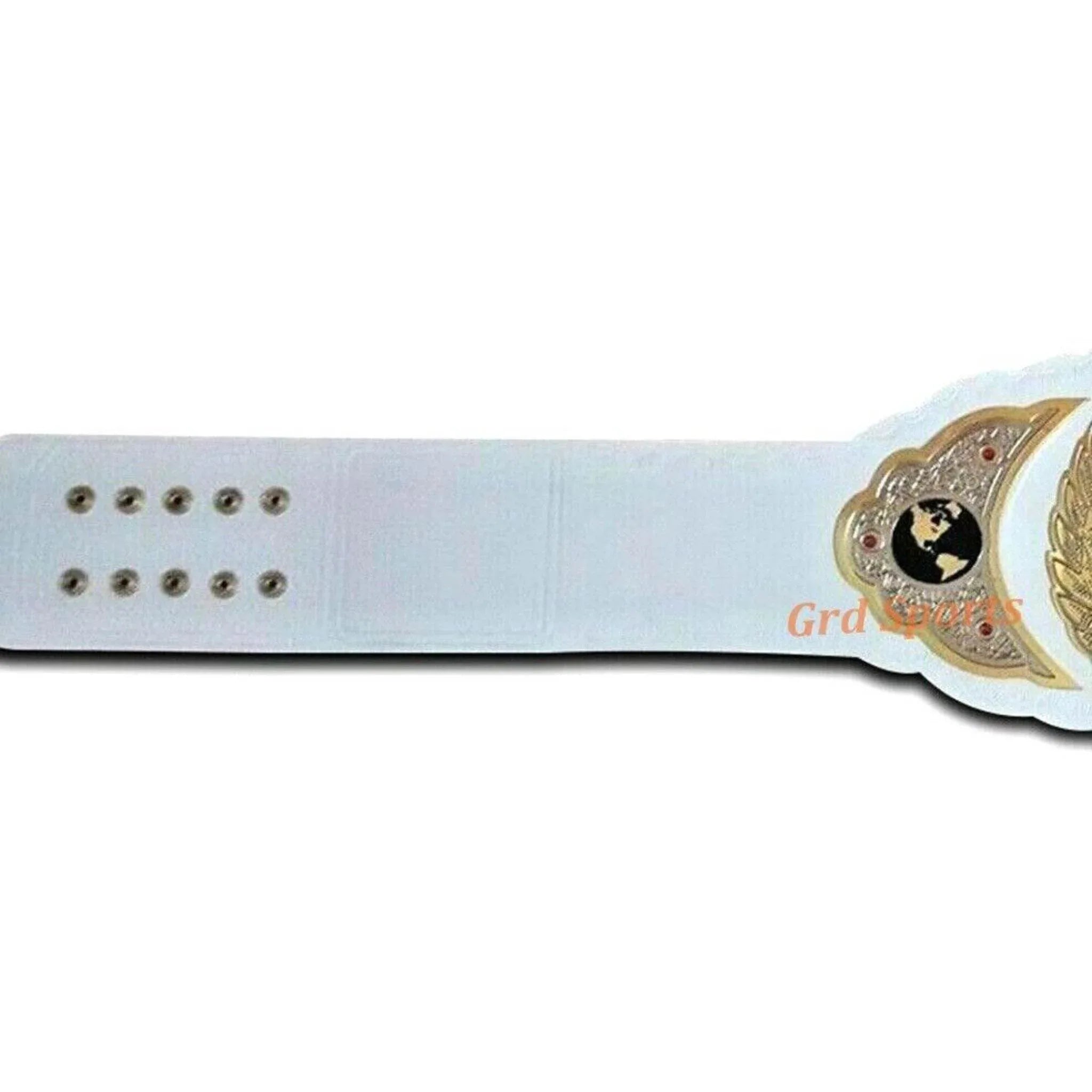 TNA Women's Championship Inspired Title Belt - 3 | Dash Racegear