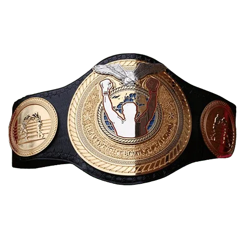 WC Heavyweight Boxing Title Championship belt - 1 | Dash Racegear