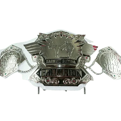 Taiwan Sanda Kickboxing Championship Belt Adult Size Belt - 1 | Dash Racegear