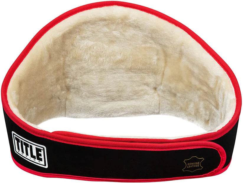 Title Boxing Platinum Championship Belt - 2 | Dash Racegear