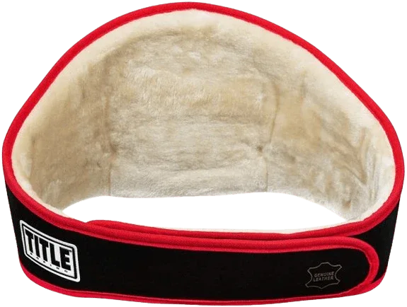 Force of One Title Boxing Championship Belt - 2 | Dash Racegear