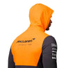 Unisex Official Teamwear Hooded Sweat Formula 1