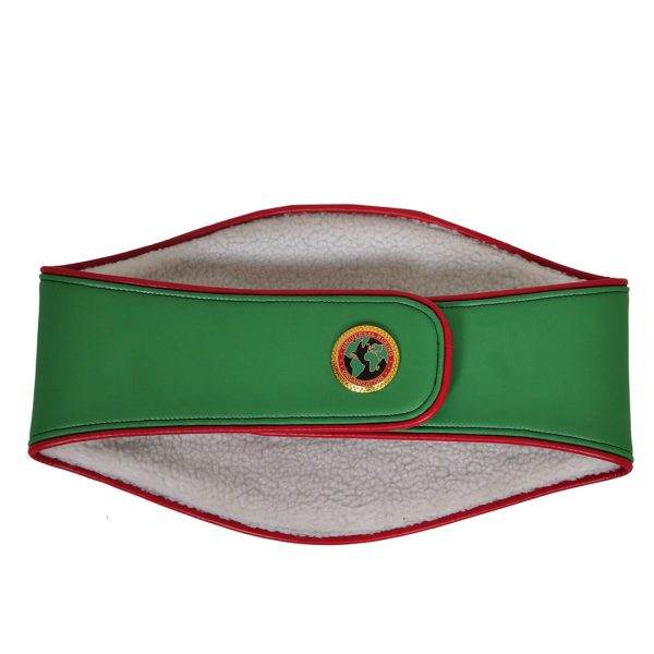 UBO Title Boxing Championship Belt - 2 | Dash Racegear