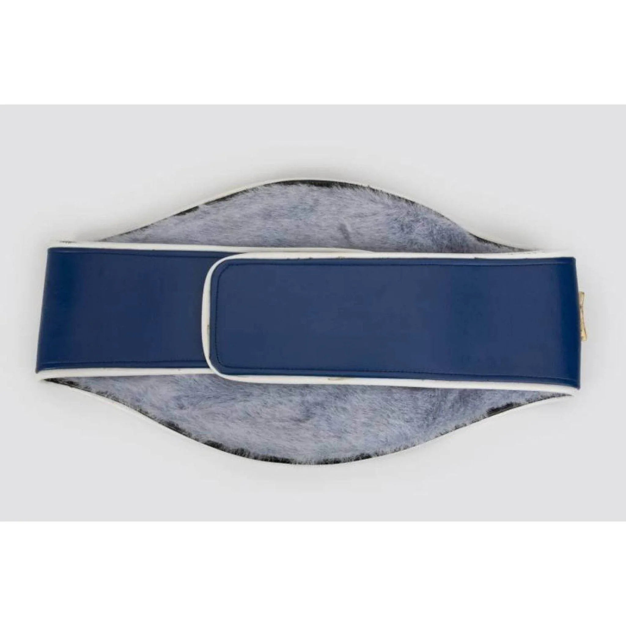WBF (World Boxing Federation) Boxing Championship Inspired Belt - 4 | Dash Racegear