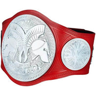 WWE RAW Tag Team Championship Inspired Title Belt - 3 | Dash Racegear