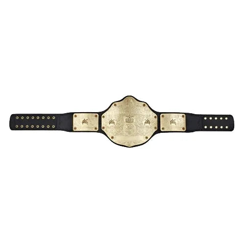 WWE Big Gold World Heavyweight Commemorative Championship Belt - 4 | Dash Racegear