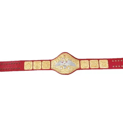 WWWF Pedro Morales Heavyweight Wrestling Champion Belt - 2 | Dash Racegear