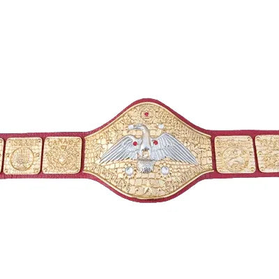 WWWF Pedro Morales Heavyweight Wrestling Champion Belt - 1 | Dash Racegear