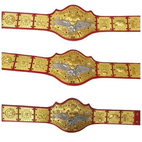 IWA Superstar World Heavyweight Wrestling Champion belt - 1 | Dash Racegear