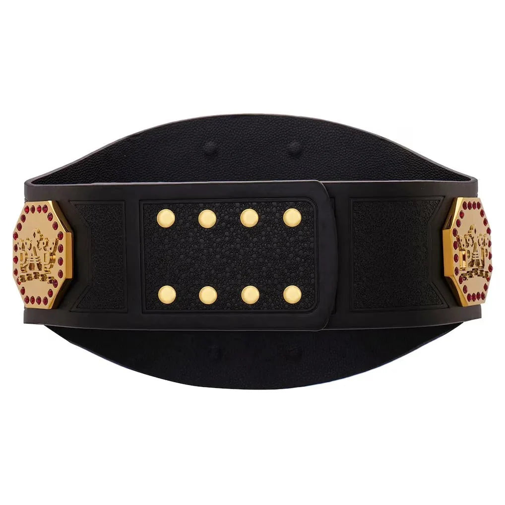 AAA Mega Champion Inspired Title Belt - 4 | Dash Racegear