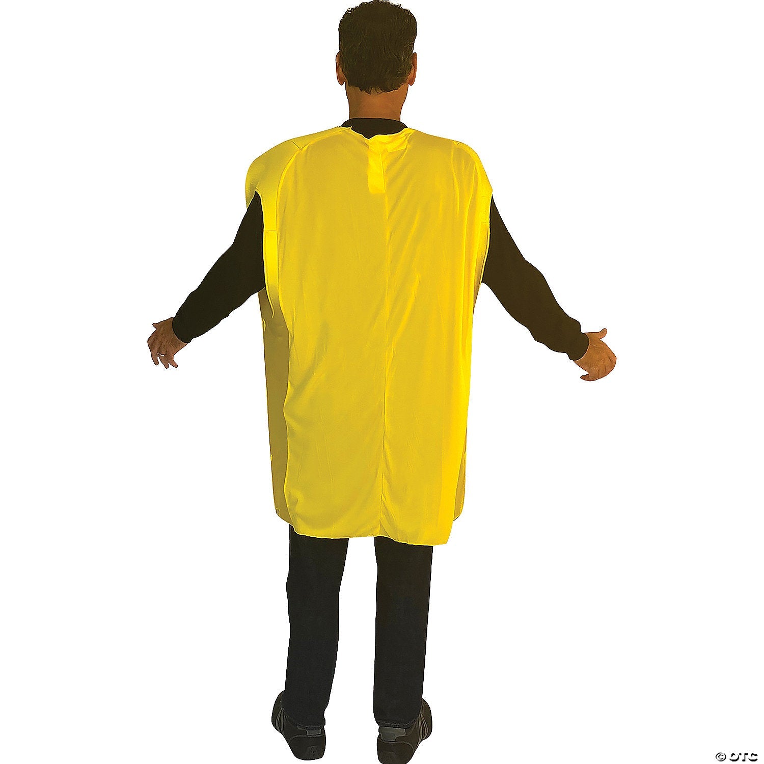 adults-oscar-mayer-packaged-bacon-costume_gc1703-a01.jpg
