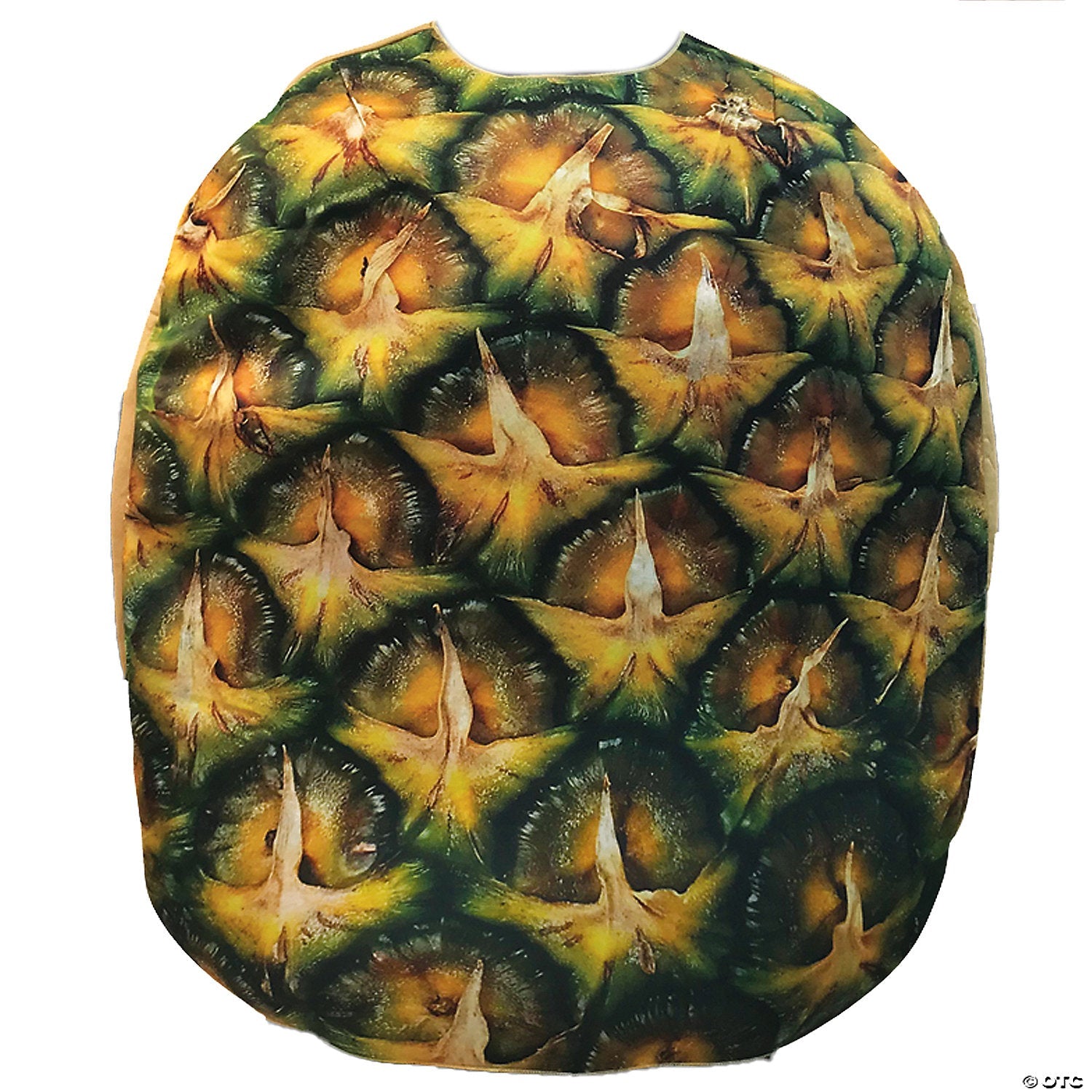 adults-pineapple-costume-gc6543_gc6543pr-a01.jpg