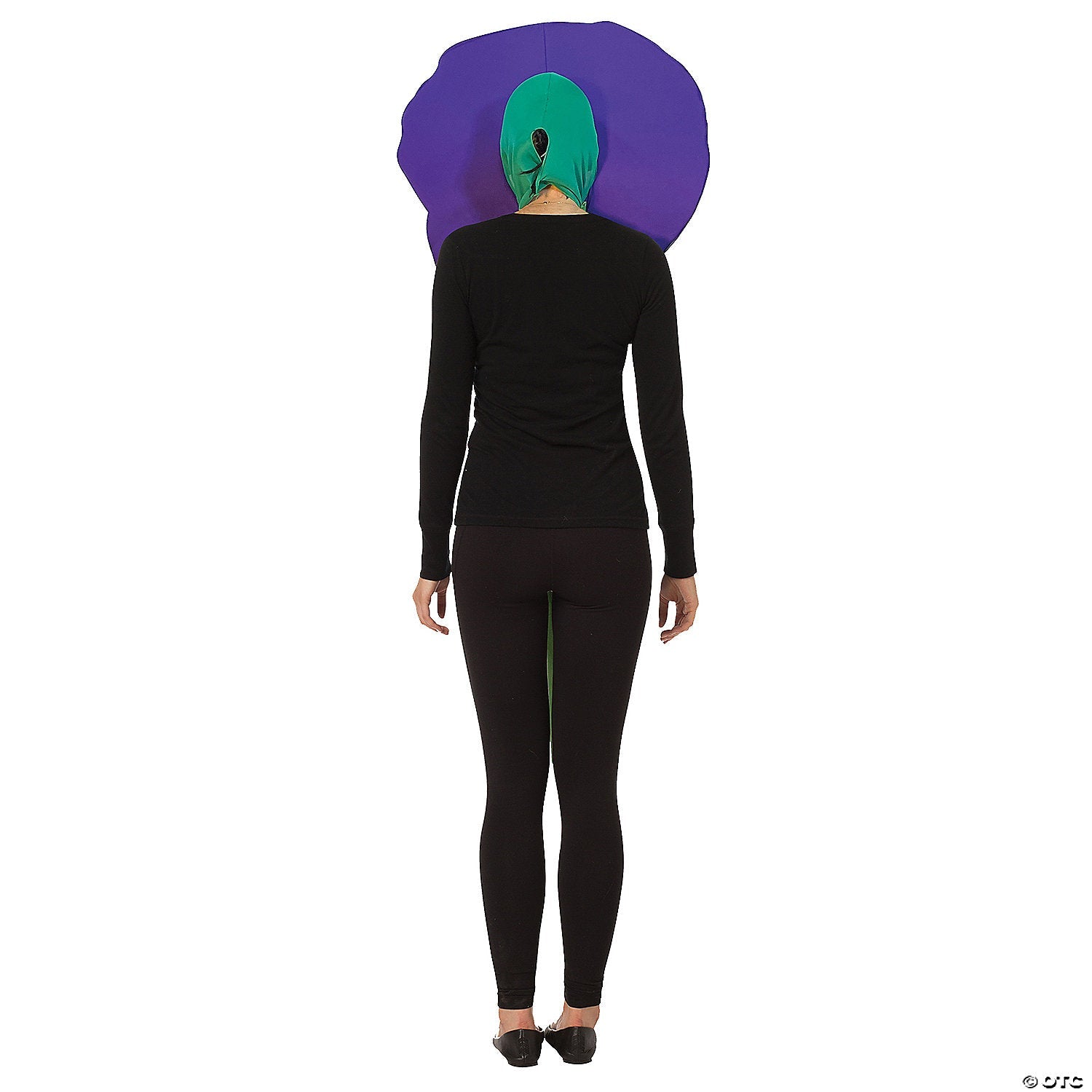 adults-purple-pansy-flower-costume_gc1166-a01.jpg