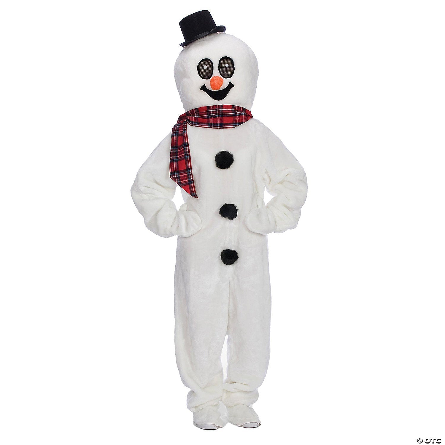 adults_20snowman_20suit_20with_20mascot_20head_20medium_208_2010_ae1282md.jpg