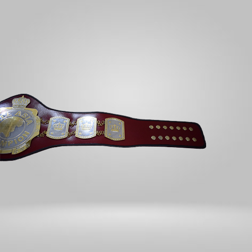 ALL Asia Wrestling Championship Belt - image 3 | DASH RACEGEAR