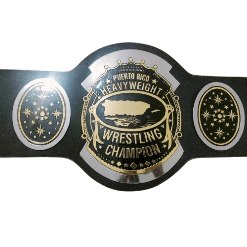 AWA Southern Heavyweight Dual Plated Championship Title Belt - 1 | Dash Racegear