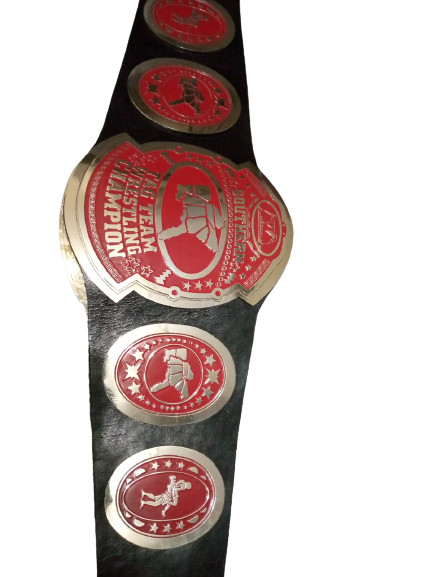 AWA Southern Tag Team Wrestling Champion Belt Ohio Valley Wrestling WWF American - image 3 | DASH RACEGEAR