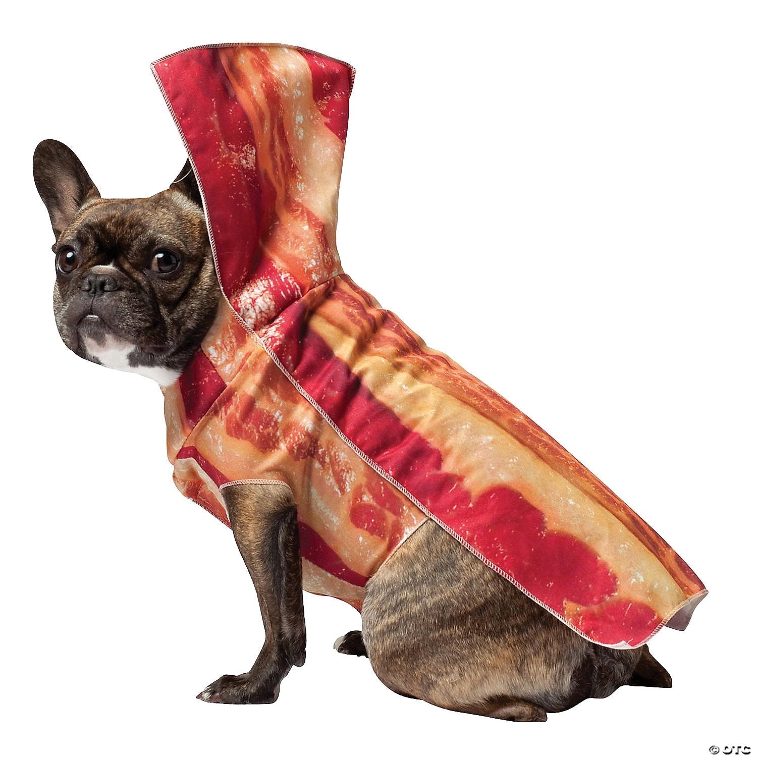 bacon_20dog_20costume_gc5006lg.jpg