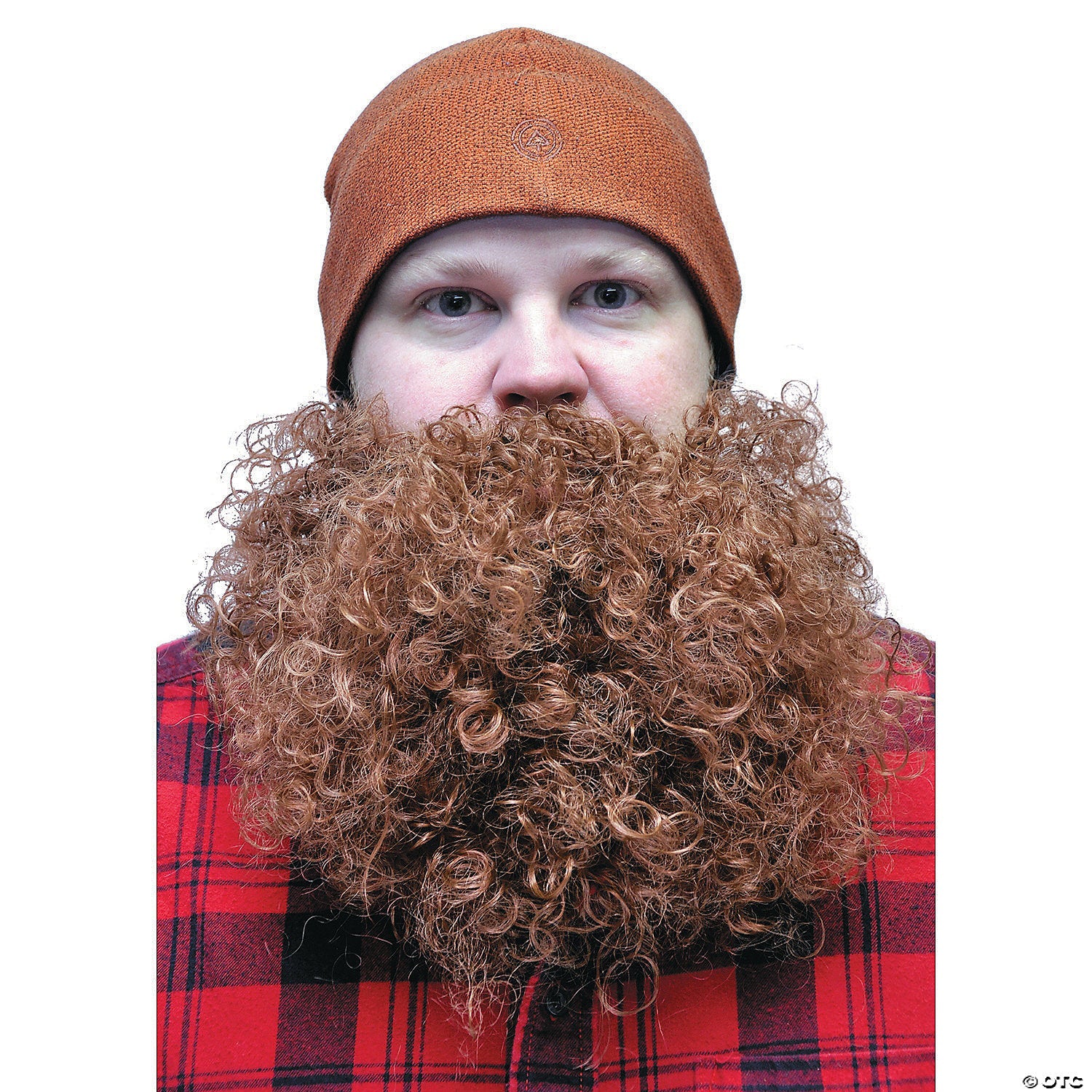 beard_20big_20and_20curly_20brown_fw9267br.jpg