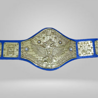 Bob Backlund WWWF Heavyweight Title Wrestling Champion Belt - image 1 | DASH RACEGEAR