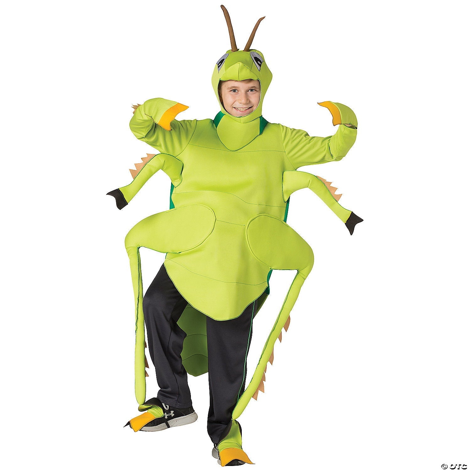 child_20s_20grasshopper_20costume_gc3112710.jpg
