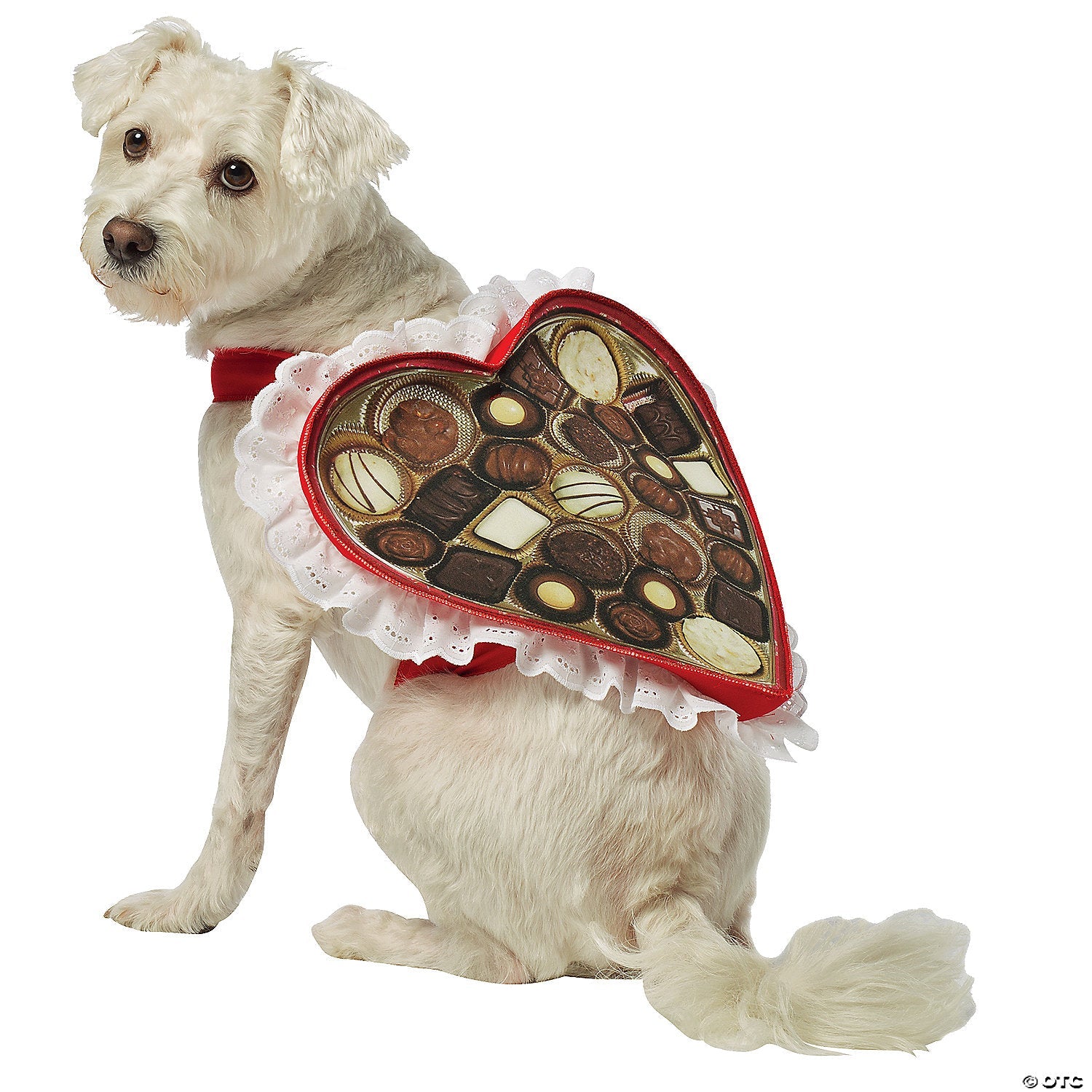 chocolate_20box_20pet_20costume_20ex_20small_gc5001xs.jpg