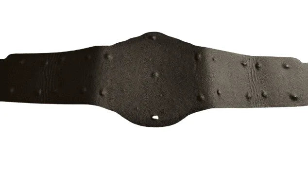 CM Punk Heavyweight Wrestling Championship Belt Adult Size - 3 | Dash Racegear
