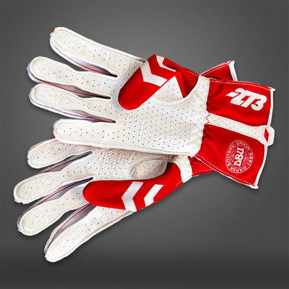 DEN - Glove | DASH RACEGEAR