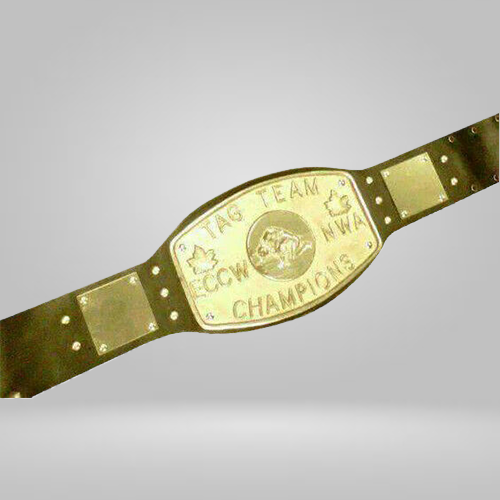 ECCW NWA Tag Team Wrestling Champion Belt Elite Canadian Championship Wrestling - image 1 | DASH RACEGEAR