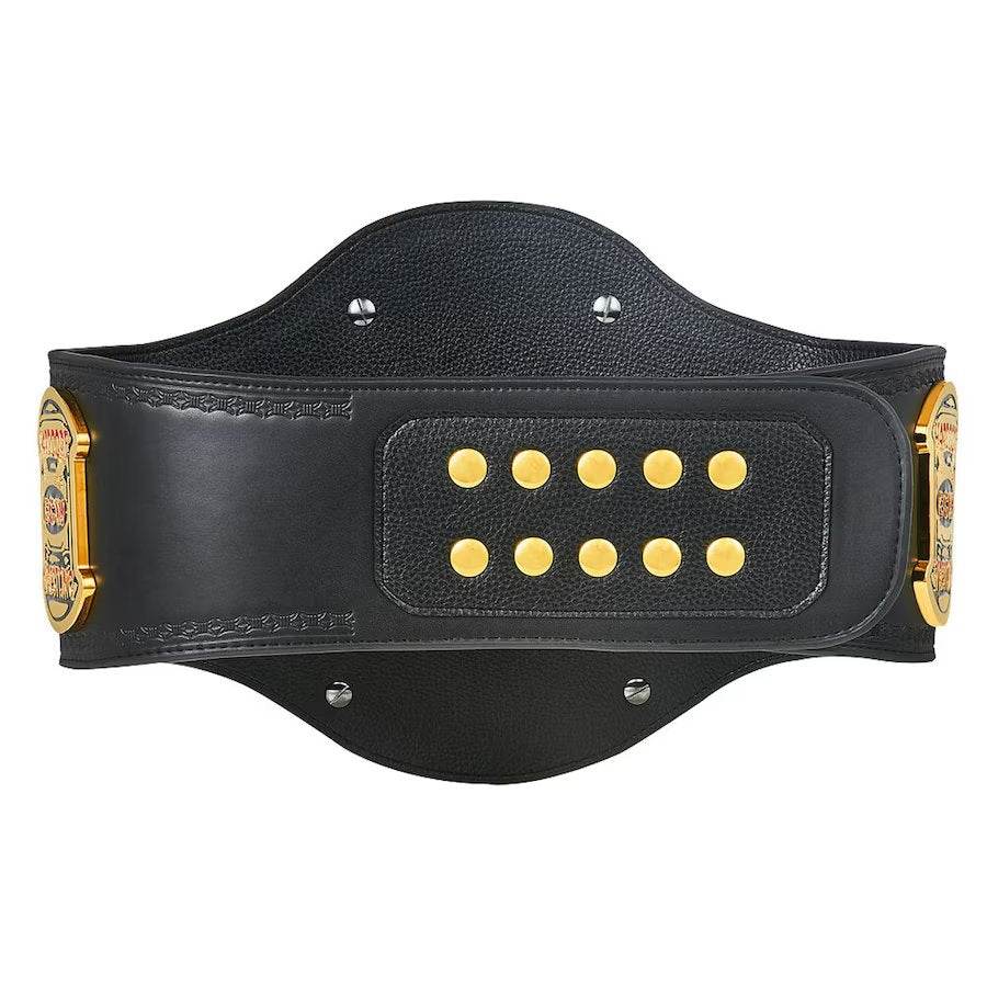 ECW World Heavyweight Championship Inspired Title Belt - 3 | Dash Racegear