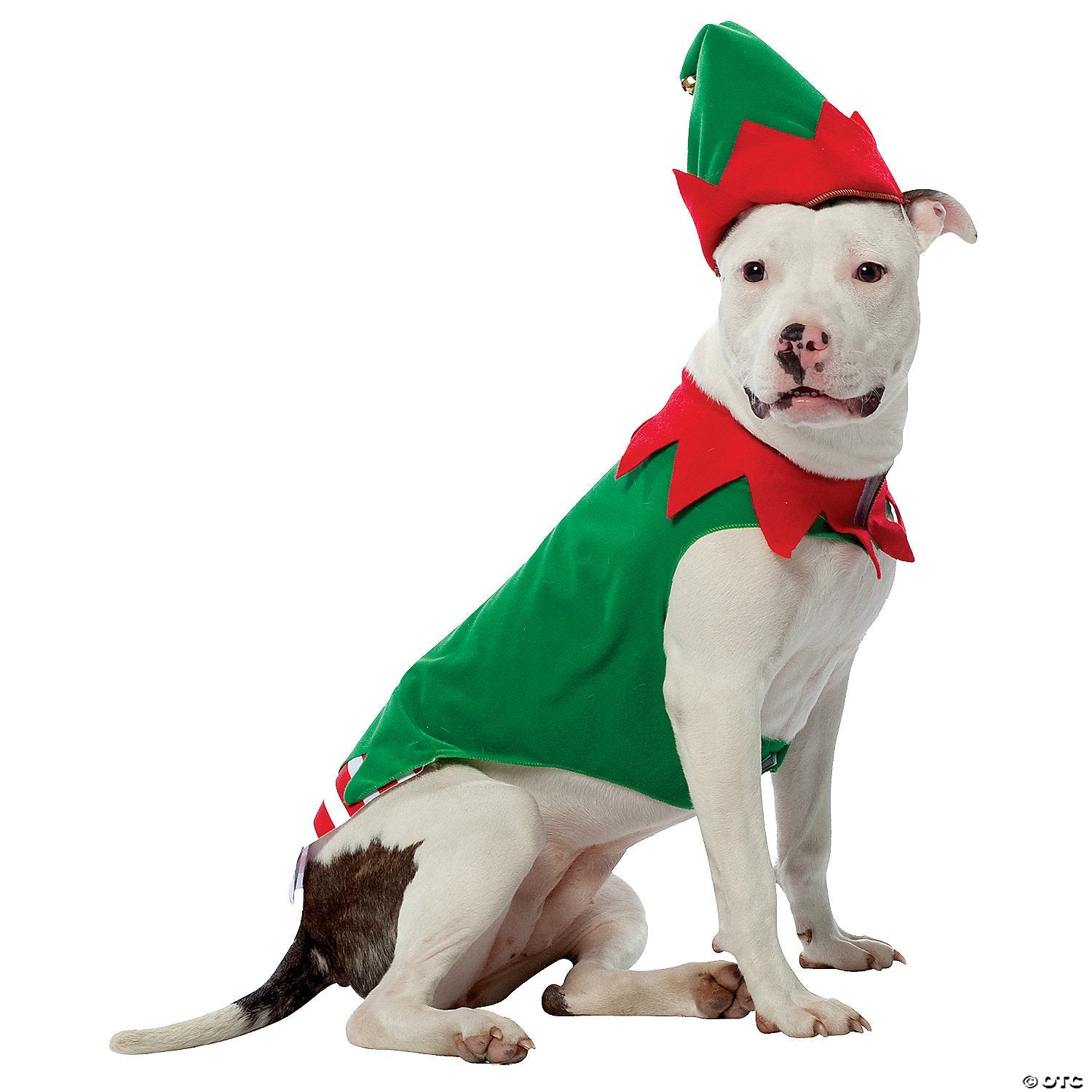 elf_20pet_20costume_20large_gc5028lg.jpg