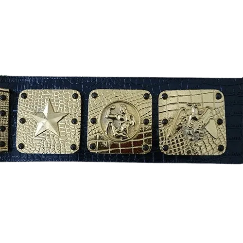 NWA Americas Heavyweight Wrestling Champion Belt - 2 | Dash Racegear