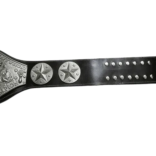 NWA Mid-Atlantic Eastern Heavyweight Wrestling Champion Belt - 3 | Dash Racegear