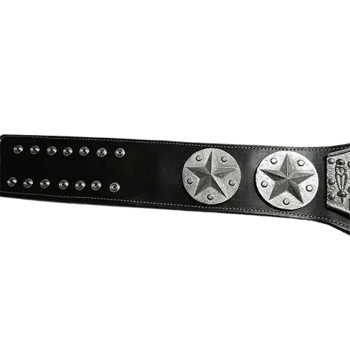 NWA Mid-Atlantic Eastern Heavyweight Wrestling Champion Belt - 2 | Dash Racegear