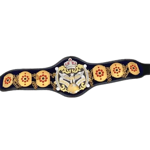NWA International Heavyweight Wrestling Champion Belt - 1 | Dash Racegear