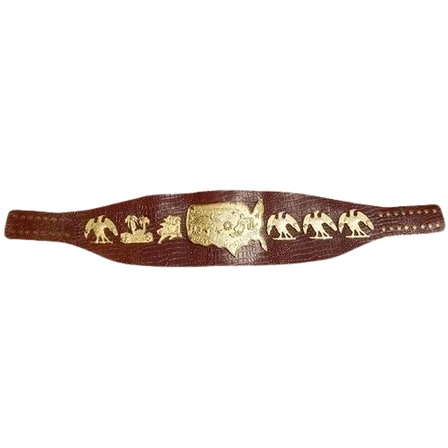 NWA Mid-Atlantic Bob Becklund Heavyweight Wrestling Champion Belt - 1 | Dash Racegear