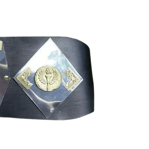 NWA World Tag Team Championship Belt Detroit version Blackjacks - 2 | Dash Racegear