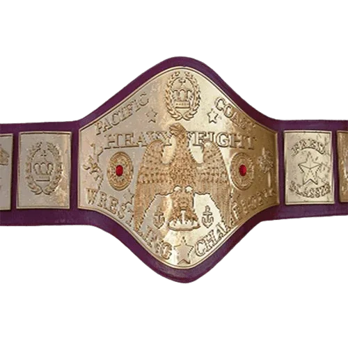 NWA Fred Blassie Legacy Wrestling Champion Inspired Title Belt - 2 | Dash Racegear