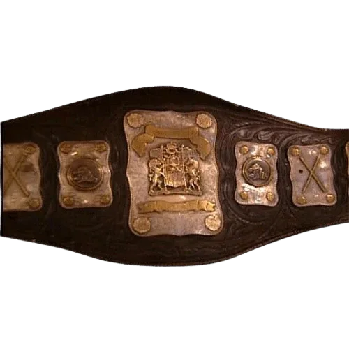 Wakamatsu Mike Shaw Stampede Wrestling International Tag Team Belt - 1 | Dash Racegear