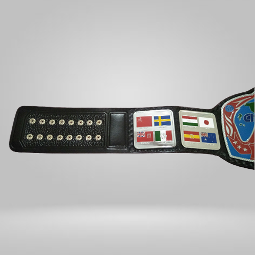 Georgia Television Championship Replica Belt - image 2 | DASH RACEGEAR
