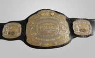 GHC Global Honored Crown Heavyweight Wrestling Champion Belt Keiji Mutoh Noah - image 1 | DASH RACEGEAR