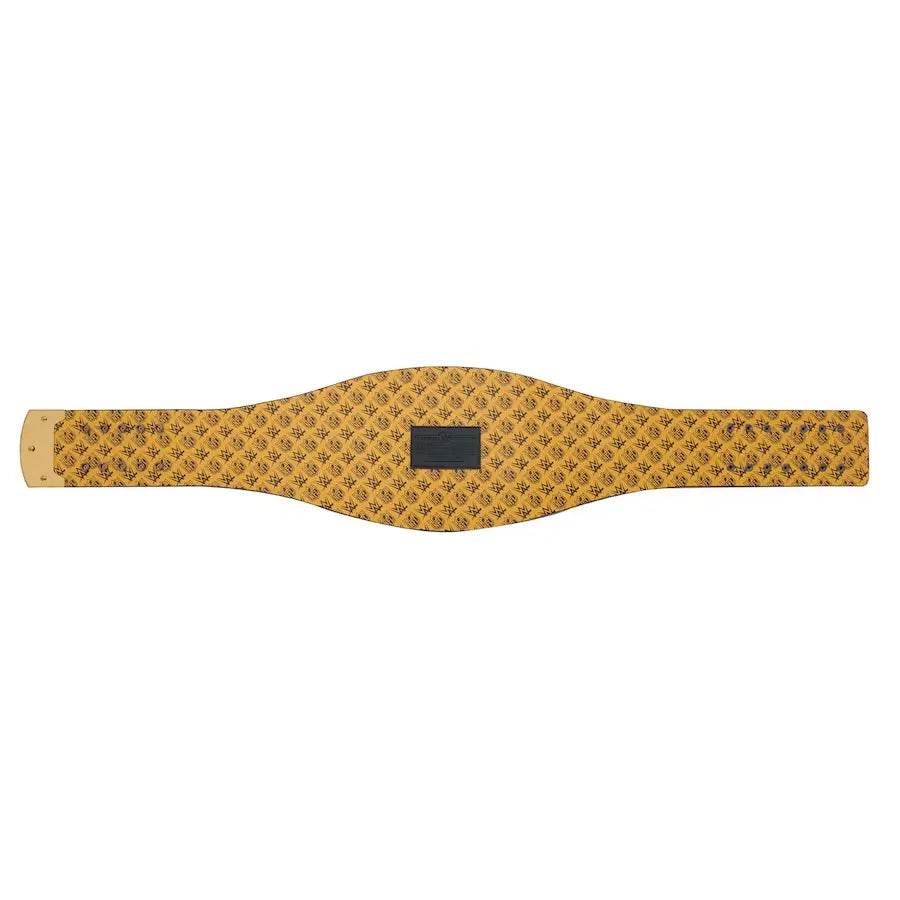 Green Bay Packers WWE Legacy Title Belt - 6 | Dash Racegear