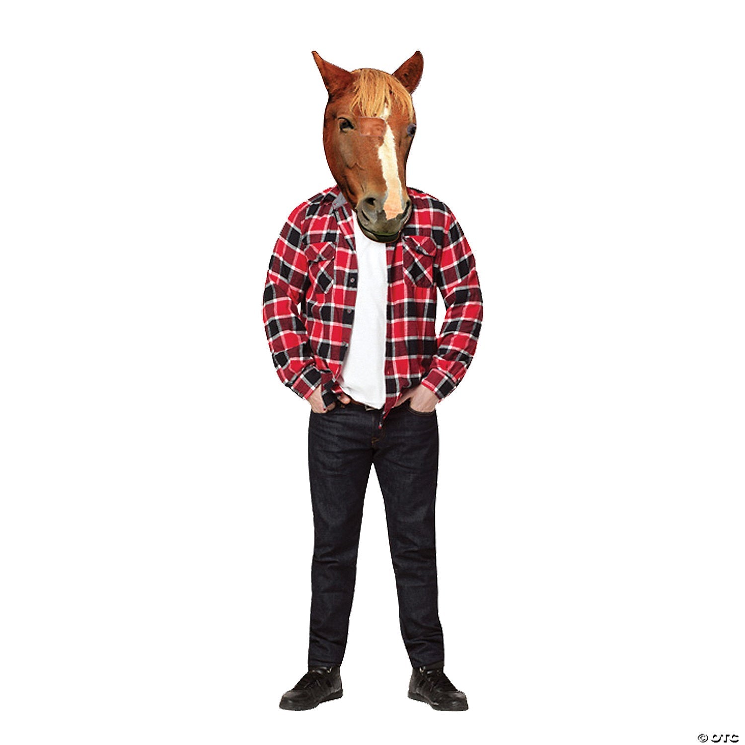 horse_20head_20mask_gc5043.jpg
