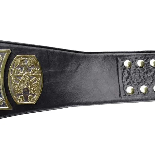 Buzz Sawyer UWF Television Wrestling Championship Belt - 2 | Dash Racegear